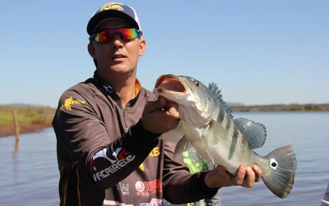 Must-Have Lures For Fishing Bass